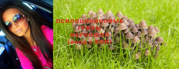 ECSTASY Волоколамск
