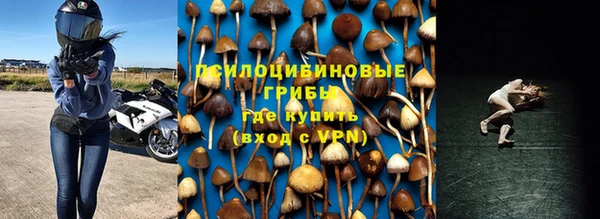 спиды Володарск
