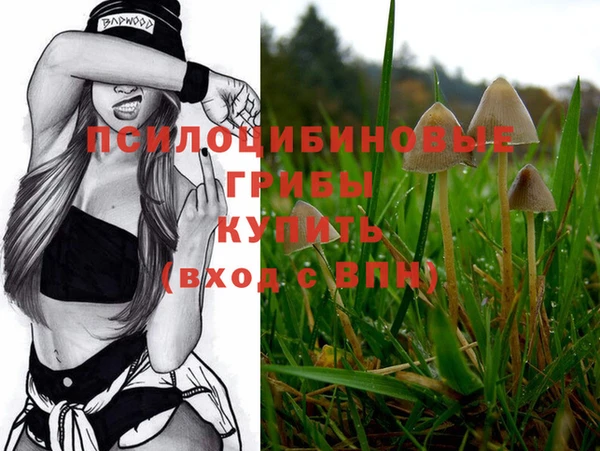 ECSTASY Волоколамск
