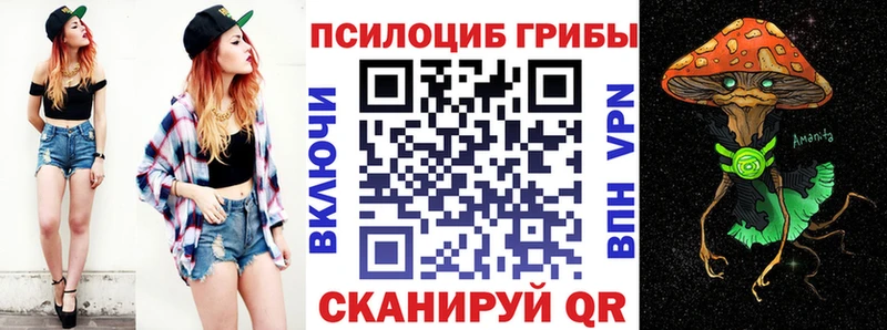 Галлюциногенные грибы Psilocybe где найти Ессентуки