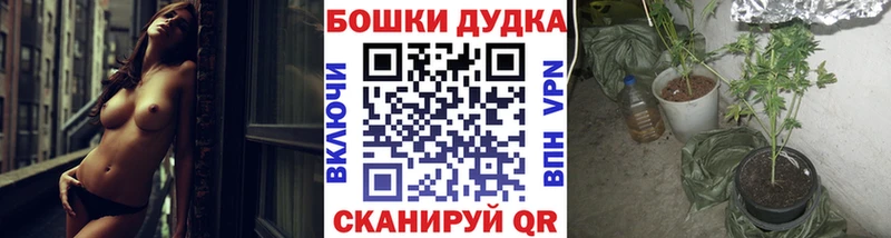 Бошки Шишки MAZAR Ессентуки